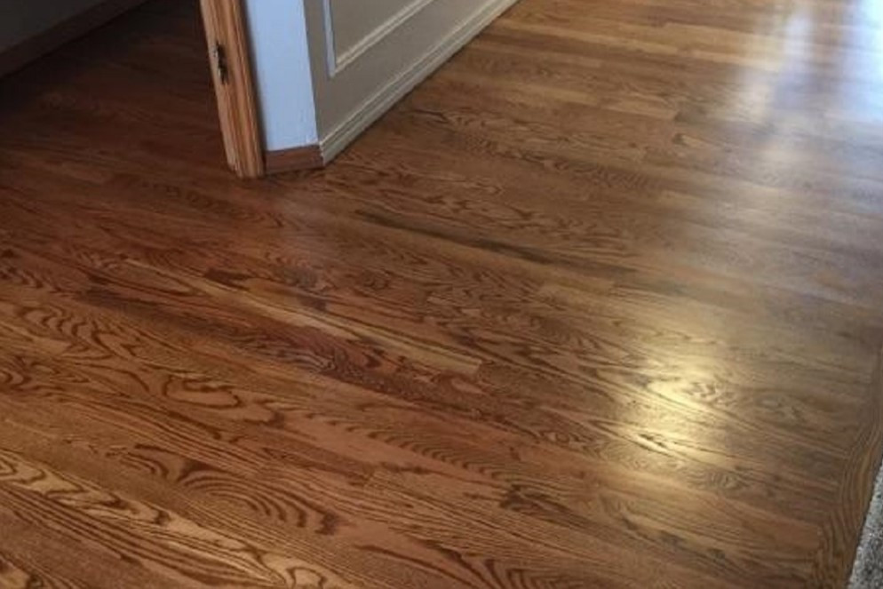 IMG_23431 - Copy FINAL